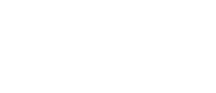 Eren – Vestel Logo